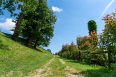 casolare-rosa-sentiero-collina