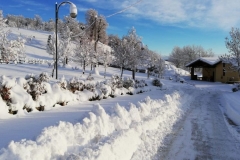 casolarerosa-nella-neve-rossana