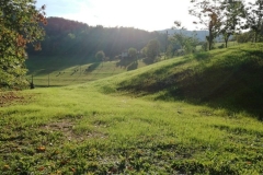 colline-verdi-castagne-rossana