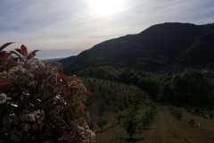 noccioleto-allimbrunire