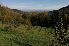 noccioleto-valle-panoramico-val-varaita