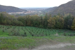 panorama-noccioleto-valvaraita