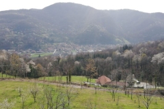 veduta-frutteto-val-varaita