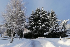 viale-con-neve-agriturismo